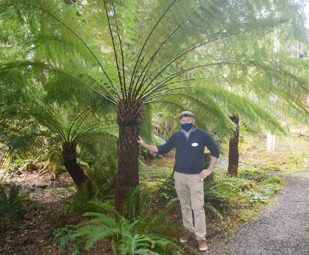 Heronswood is filled with palm trees and other coverings, providing shade for visitors on hot days.