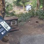 Interpretive signs help guide visitors through this old logging camp.