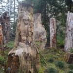 Stumps show all types of character in this section of the new Renaissance Garden.