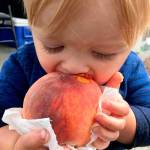 The Port Orchard Farmers Market will open its summer run next to Waterfront Park each Saturday beginning at 9 a.m. (File photo)