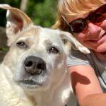 Lee Harper, Kitsap Humane Societys new executive director, enjoys the outdoors with her dog Columbo, a 7-year-old yellow lab. (Contributed image)