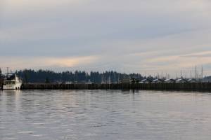 The Port of Poulsbos breakwater encircles much of the Poulsbo marina.