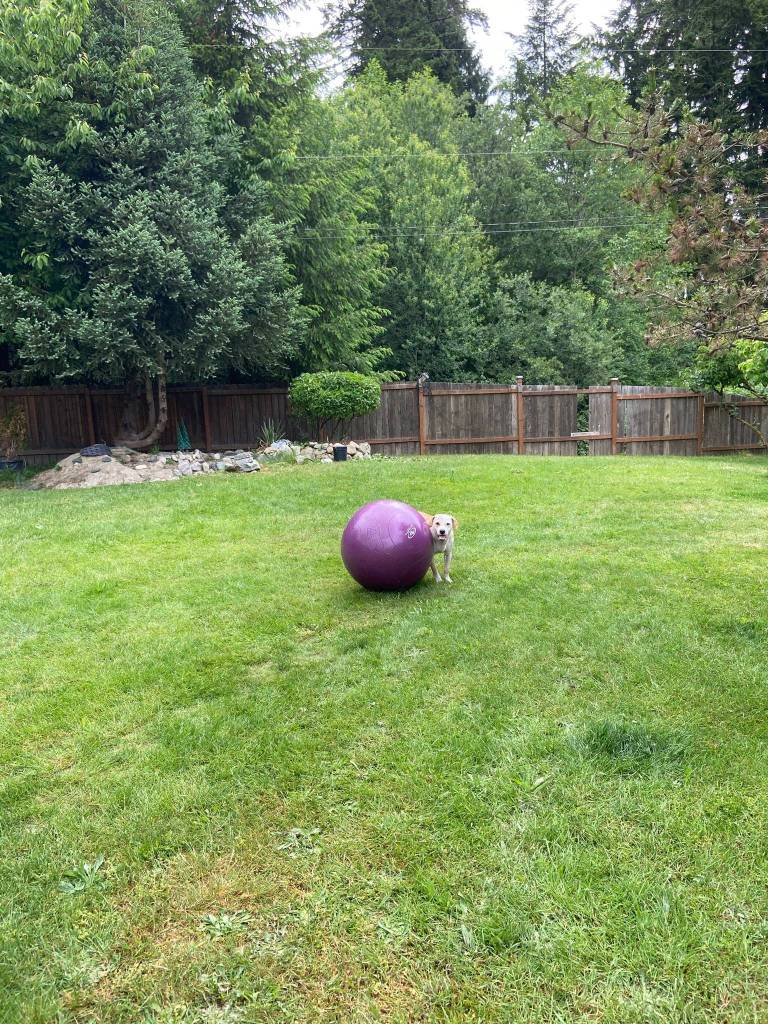 Lucy is credited with being the hero for waking up residents.