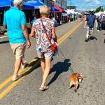 A couple and their curious dachshund meander along Bay Street in downtown Port Orchard during the CRUZ Car Show and Fathoms Festival By The Bay activities on Sunday. (Bob Smith | Kitsap Daily News)