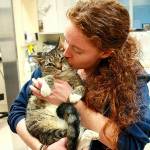 Dr. Jen Stonequists passion and dedication have helped bring stability and relevance to the mission of Kitsap Humane Society. (Courtesy photo)