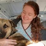 Dr. Jen Stonequist is a busy woman, from volunteering to help animals in Baja Mexico on her own dime to instructing fellow veterinarians on the principles of mindfulness in their practices. (Courtesy photo)