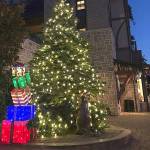 Christmas tree on display at Lynwood Center.