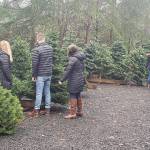 Shoppers perusing the trees to see which one is the best for them.