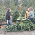 Shoppers decide on their favorite tree. Tyler Shuey/North Kitsap Herald photos