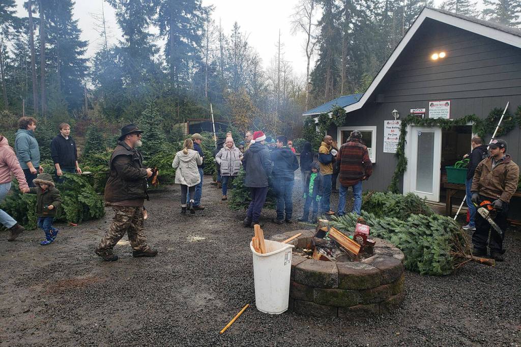 Despite a rainy Black Friday, there was a good turnout at the opening day of Olmsted Tree Farms Clear Creek Road location.