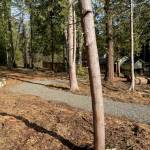 The initial phase of Rotary Morrow Community Park near Noll Road consisted of clearing, grading and installation of gravel trails. Courtesy Photos