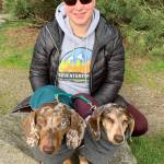 Gretel (left) and Summit take a break with their owner Jessica Williams, the organizer of the dachshund lovers group Adventurewiener Club. (Bob Smith | Kitsap Daily News)