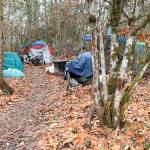 Mike De Felice | Kitsap News Group
Eviction of the homeless encampment littering the woods around the county-maintained Veterans Memorial Park seems near, Port Orchard Mayor Rob Putaansuu says.