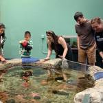 Over 400 people attended the aquarium during opening weekend, which coincided with Viking Fest.