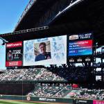 Former Seattle Seahawks security and customer service worker Dave Musselman was recognized by the Seattle Mariners for his conflict resolution skills and personal appearance.