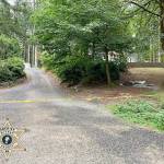 The scene of the crime. Courtesy Photo