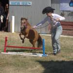 A 4-H participant leads her miniature horse around the course for the judges. Elisha Meyer/Kitsap News Group Photos