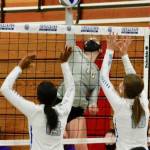 Olympic will look to finish near the top of the league with their senior heavy squad. File Photo