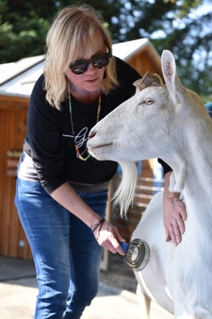 Lena ONeill Caine brushes Miles with a curry comb and gently pets him.