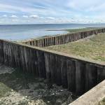 Creosote timber bulkhead at Rose Point near Eglon.