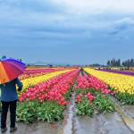 Runner up prize-winning photo by Jim Larison. Photo courtesy First Fed