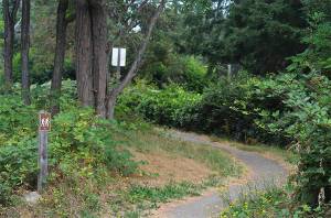 A wooded trail on the Bethany Lutheran Church property. File Photo