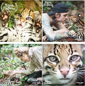 Courtesy Photos
Pictures from Wildcat.