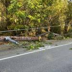 A power pole lies on the ground following a collision on Clear Creek Road Oct. 17.
