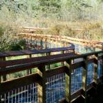 Carpenter Lake boardwalk