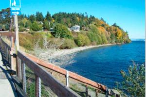 Kingston North Beach (Saltair Park), Courtesy Photos