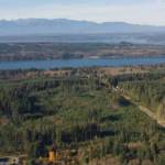 Overhead view of Port Gamble Forest Heritage Park.