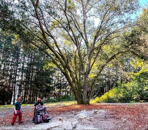 Oak revealed at Moritani Preserve. Courtesy Photo