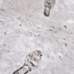 Footprints in Sakai Park.