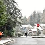Kids walk to school in the snow in North Town Woods.