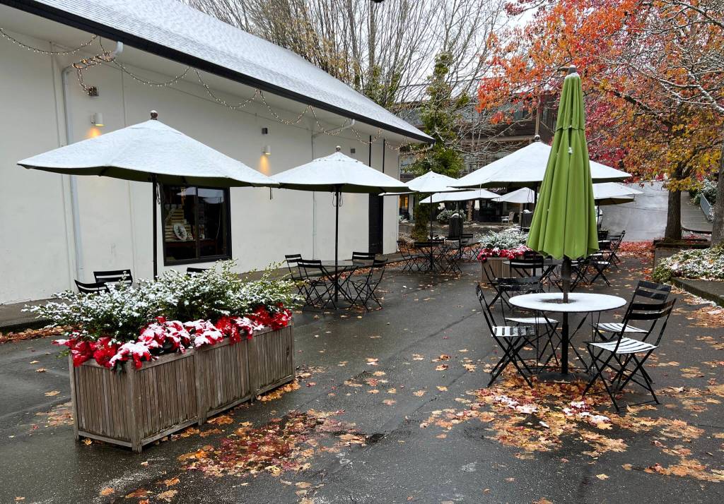 Market umbrellas covered with a blanket of snow.