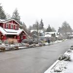 North Town Woods. Nancy Treder/Kitsap News Group Photos