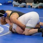 Sofian Hammou is looking for his second state title.