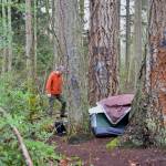 Bainbridge Island City Councilmember Joe Deets spots an encampment. Nancy Treder/Kitsap News Group Photos