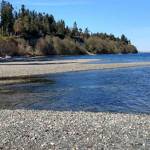 Beach walkers are sought for data collecting. Courtesy Photo