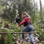 Authorities lead one of the suspects out of the woods who stole a U-Haul van. KCSO Courtesy Photos
