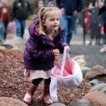 A young girl builds up her collection at an Easter egg hunt at Olalla Elementary April 8. Elisha Meyer/Kitsap News Group Photos