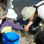 Suquamish biologist Paul Dorn shows seine contents to some youngsters.