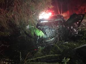 A woman died April 15 in North Kitsap after appearing to crash her car into a tree. KCSO courtesy photo