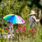 Visitors connect with the Bloedel Reserve grounds in a very individual, personal way. Erin Fisher photo