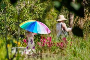 Visitors connect with the Bloedel Reserve grounds in a very individual, personal way. Erin Fisher photo