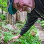 Al Phillips explains about some of the plants on his Dolphin Place Open Space property.
