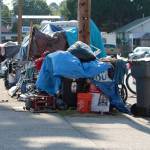 Trash is collected and put in a pile, behind which is a long line of occupied tents and tarps. Elisha Meyer/Kitsap News Group Photos