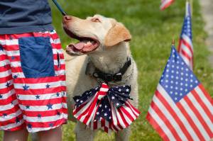 A dog proudly displays the American colors along with its owner. Elisha Meyer/Kitsap News Group Photos