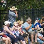 Parade-goers wave to the attractions making their way through downtown Kingston.
