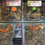 The store will have more vendors since theres more space.